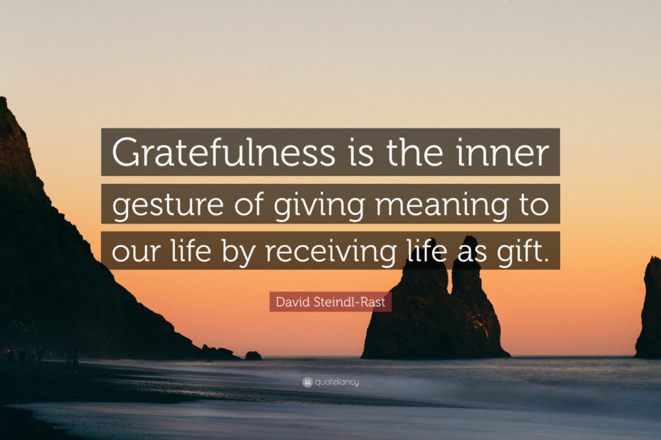 Tâche 5 du défi de gratitude du matin - Signification de la gratitude